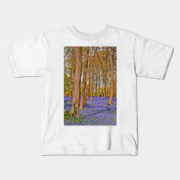 Bluebell Woods Greys Court Oxfordshire England Kids T-Shirt by AndyEvansPhotos